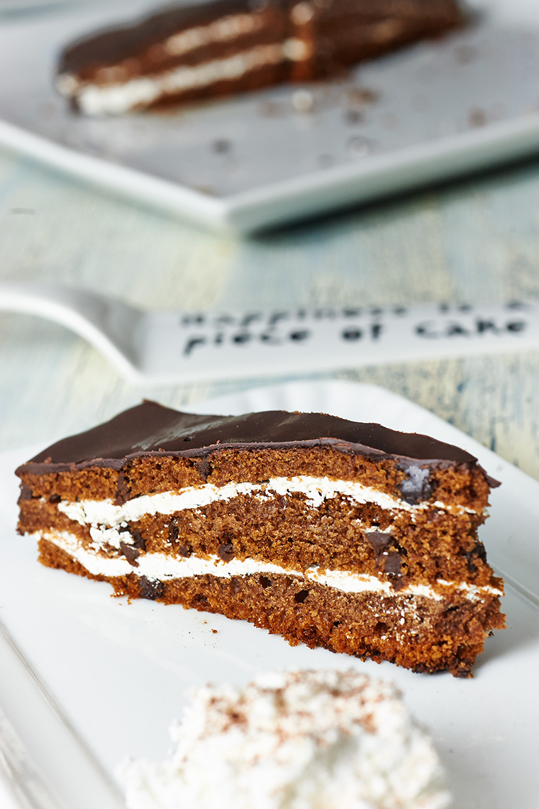 torta cioccolatosa torta cioccolatosa