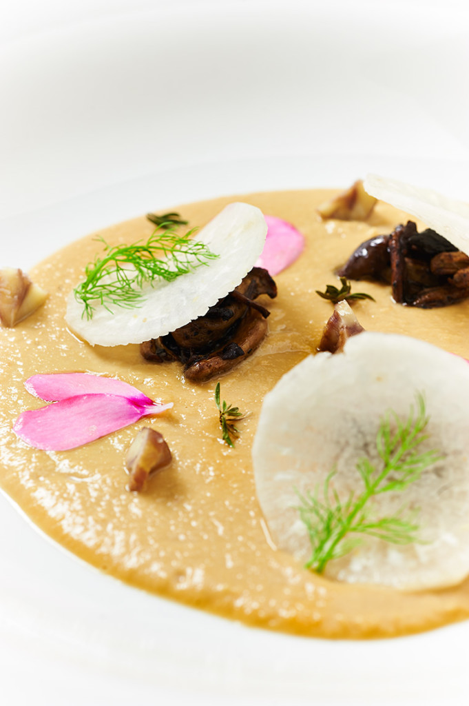 vellutata di ceci al miso con funghi e daikon vellutata di ceci al miso con funghi e daikon