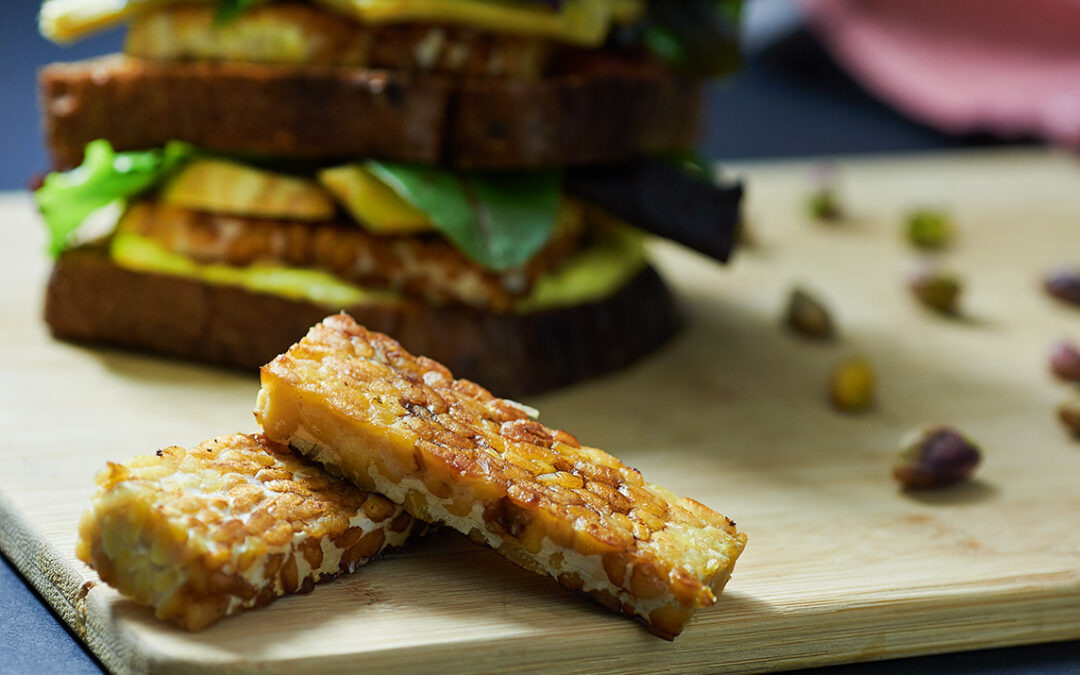 Appanino al tempeh