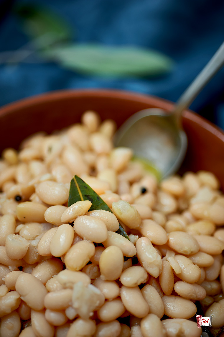 fagioli in terracotta