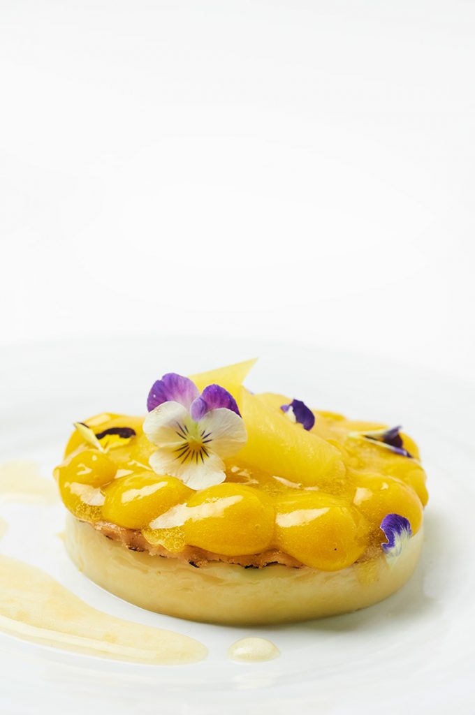 dolce-zucca