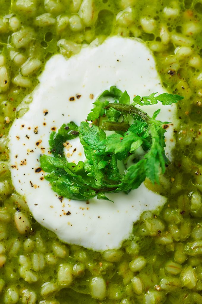 orzotto-al-papavero-di-campo